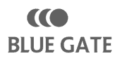 Blue Gate Sapphire BG7i USB Drivers