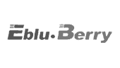 Eblu Berry B732 Plus 3G USB Drivers