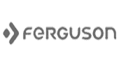 Ferguson Regent TV7 USB Drivers