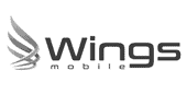 Wings Mobile W6 USB Drivers